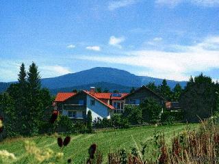 Pension Landhaus  Hochfeld in Zwiesel