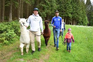 Erlebnisbauernhof Sternhof in Bodenmais