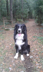 Schuniglhof in Neukirchen beim Heiligen Blut