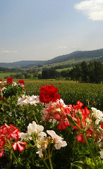 Schuniglhof in Neukirchen beim Heiligen Blut