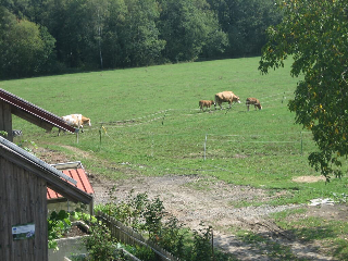 Bio-Bauernhof Josef und Anita Breu in Neukirchen b.hl.Blut