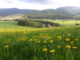 Kriegerhof in Arrach