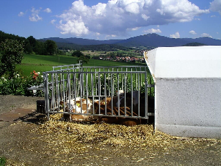 Kriegerhof in Arrach