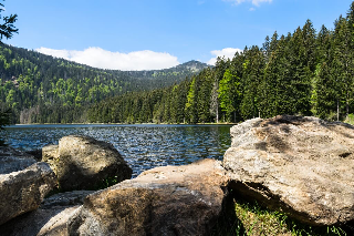 Ferienwohnungen Geiger Bayerischer Wald in Bad Kötzting