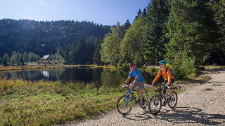 Ferienwohnungen Geiger Bayerischer Wald in Bad Kötzting