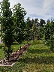 Fischer Brigitte in Bad Kötzting