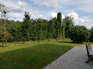 Fischer Brigitte in Bad Kötzting