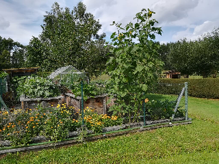 Fischer Brigitte in Bad Kötzting