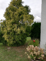 Ferienwohnung Roswitha in Grafenwiesen