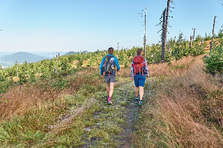 Wander & Aktivhotel Rösslwirt – WALD. GENUSS. HEIMAT in Lam