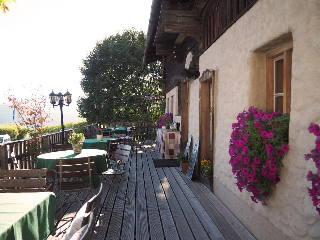 Das Waldlerhaus in Lam
