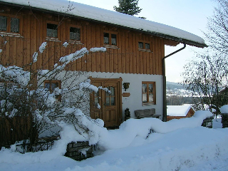 Am Birkenwald in Lam