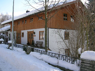 Am Birkenwald in Lam