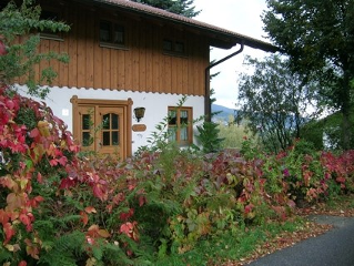 Am Birkenwald in Lam