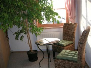 Am Birkenwald in Lam