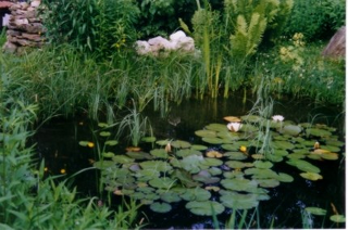 Sperl Josef in Lam