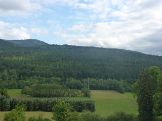 LANDGASTHOF Postwirt - FeWo in Lam