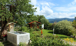 Woidhaisl in Lam