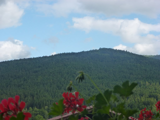LANDGASTHOF Postwirt - FeWo in Lam