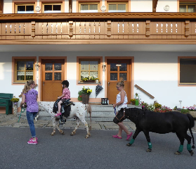 Fischerhof in Blaibach