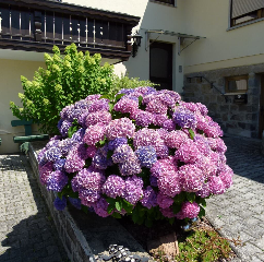 Ferienwohnung Rank in Blaibach