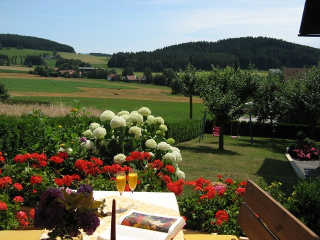 Ferienwohnungen Feldbauer in Cham