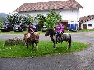 Gutscherhof in Hohenwarth