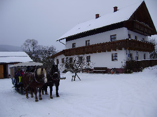 Gutscherhof in Hohenwarth