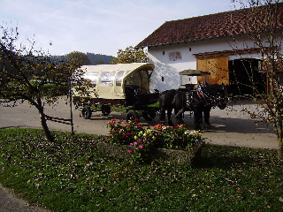 Gutscherhof in Hohenwarth