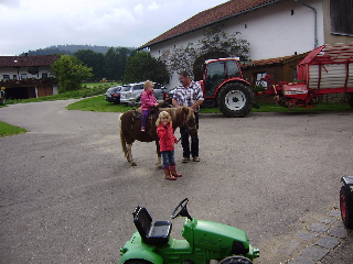 Gutscherhof in Hohenwarth