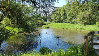 Ferienhaus Schlamminger in Weiding