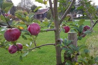 Ferienhaus Schlamminger in Weiding