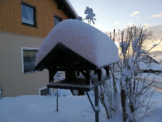 Ferienwohnung 