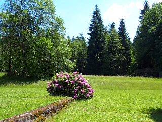 Fewo Schächtelschleif in Waldmünchen