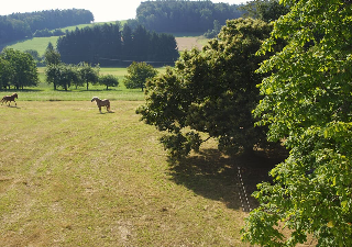 Panoramablick Höllbachtal in Rettenbach