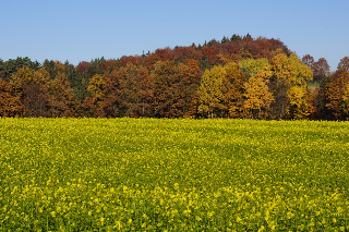 Panoramablick Höllbachtal in Rettenbach