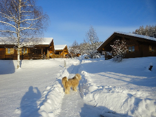 Ferienhäuser Weil in Stamsried