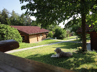 Ferienhäuser Weil in Stamsried