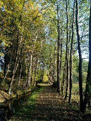 Gasthof Russenbräu in Tiefenbach/OPf.
