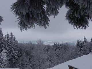 Steiner Wirt in Tiefenbach/OPf.