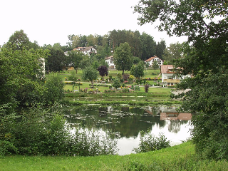 Steiner Wirt in Tiefenbach/OPf.