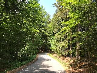 Ferienhof Kroner in Rinchnach