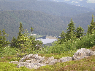 Gästehaus Schmalzreich in Lam