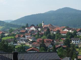 Ferienwohnungen Schönblick u. Dorfblick in Bodenmais