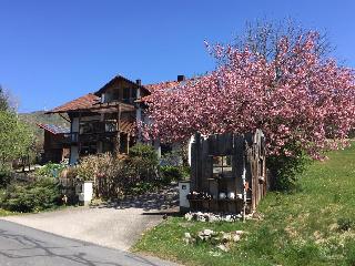 Ferienwohnung Gammer in Rimbach