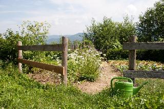 Gutsgasthof Frath  in Drachselsried