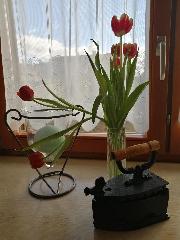 Ferienwohnung Reitinger in Rötz
