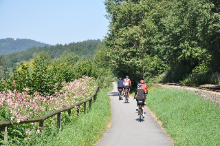 Ferienwohnung Regentalblick in Miltach