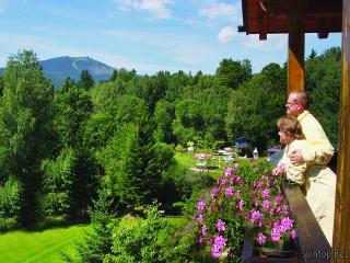Wellnesshotel Brunnenhof in Bayerisch Eisenstein