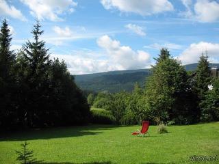 Falkenhof classic in Bayerisch Eisenstein